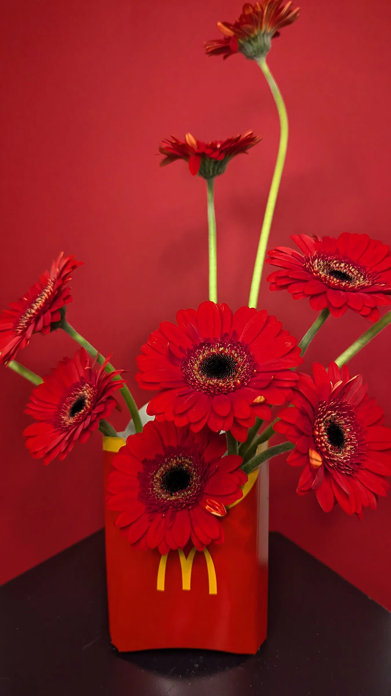 Mackies Red Gerbera floral arrangement