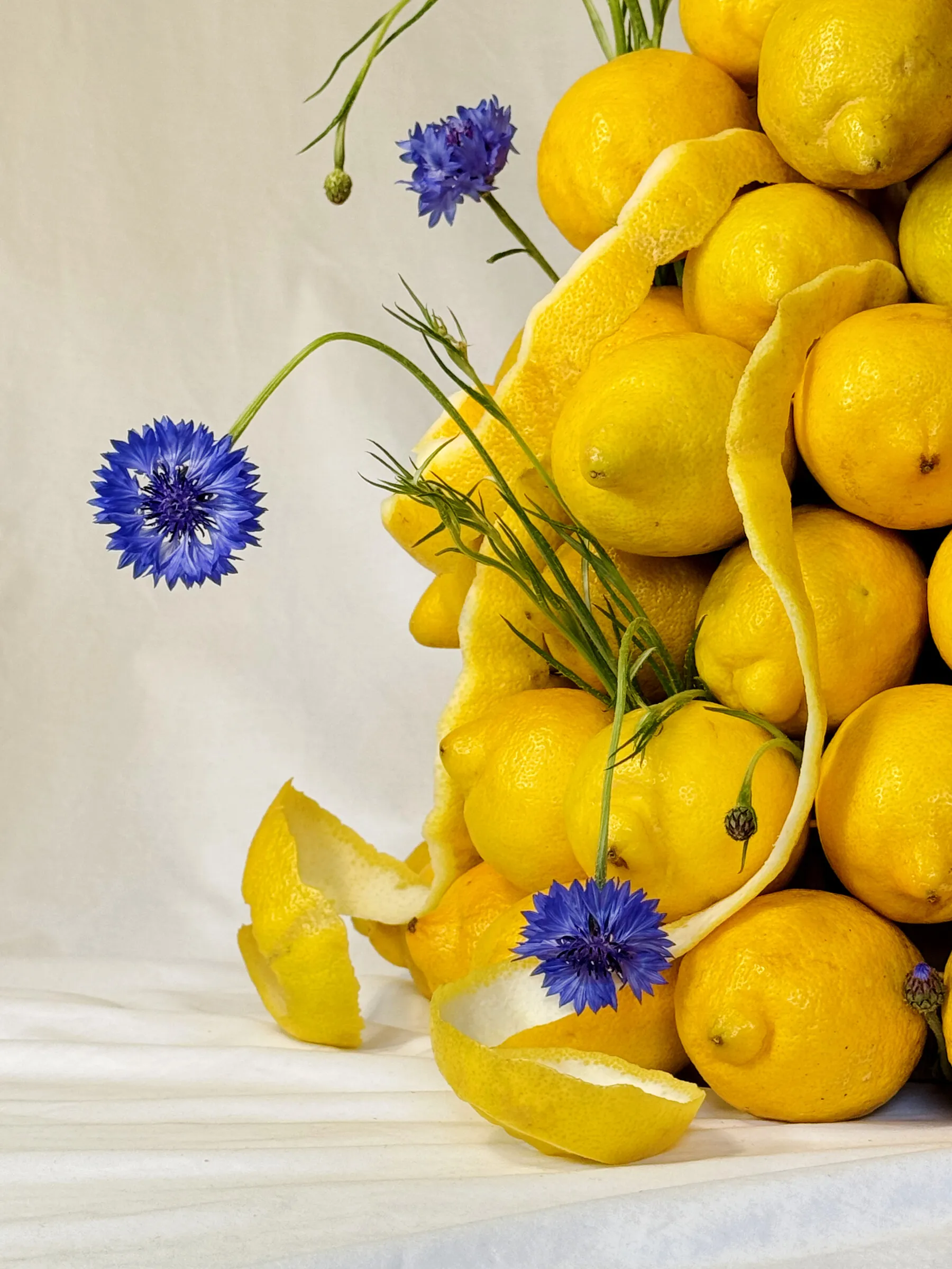 Lemon Tree floral arrangement